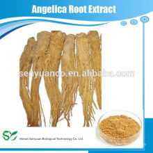 5: 1 braunes Pulver Root Angelica dahurica Auszug